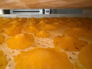 Tranches de fruits d'ananas tendres, fournisseur d'exportation du Vietnam, directement de l'usine - Product Image 2