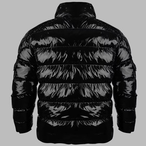 Chaqueta Acolchada con Capucha North-Face Negra Brillante de Alta Calidad con Forro de Algodón para Hombre, Cálida para el Invierno - Product Image 2