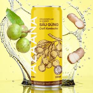 Bebida de té estilo kombucha de jengibre Dracontomelon, marca privada, OEM, personalización de marca, proveedor de suministro a granel - Product Image 1