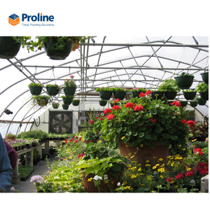 Film de paillage double noir en PE de grande taille pour serres agricoles multi-travées, contrôle de l'humidité du sol, résistant aux UV, prix compétitif - Product Image 4