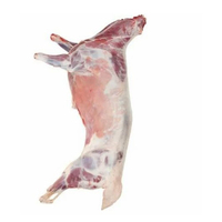 Carcasse d'agneau HALAL fraîche surgelée IQF, qualité supérieure, grade A, 25 kg, origine Royaume-Uni, prête à l'exportation