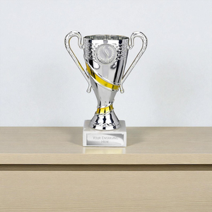 Gold Silver Bronze Plated Portable Modern Awards <b>Trophy</b> <b>Engraved</b> Customised Print Sports Cup Prize for Games and Competitions - Product Image 4
