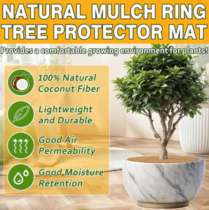 Eco2go Vietnam Anillo de Fibra de Coco para Plantas - Diseño Moderno para Plántulas - 100% Natural, Ecológico y Biodegradable - Product Image 6