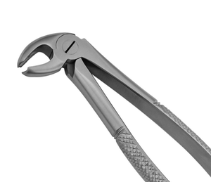 ARISTON INTERNATIONAL Forceps d'extraction dentaire de haute qualité, modèle anglais, en acier allemand, pince manuelle à vendre - Product Image 5