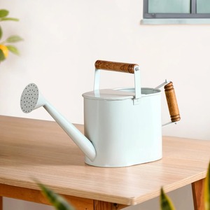 Regadera Metálica Moderna para Jardín y Plantas de Interior, Herramienta Clásica de Riego con Boquilla Larga y Suave - Product Image 2