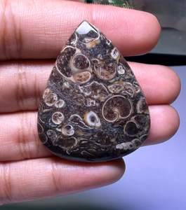 Lote al por mayor de cabujones de ágata TURRITELLA por peso con diferentes formas y tamaños utilizados para la fabricación de joyas, piedra TURRITELLA - Product Image 2