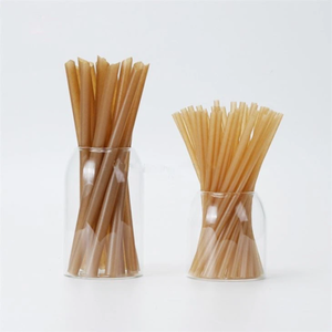 ฟางชานอ้อยขายดีที่สุด สำหรับบรรจุภัณฑ์อาหารที่ยั่งยืนและการใช้งานในอุตสาหกรรมอาหารและเครื่องดื่ม - Product Image 3