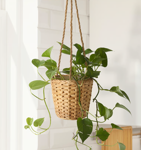 Pots de rangement au sol en jacinthe d'eau de style rétro, fabriqués au Vietnam, avec poignées, tissés à la main, écologiques - Product Image 2