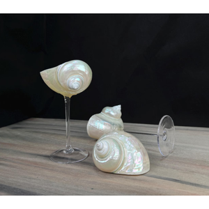 Décoration côtière en verre de coquillage naturel, thème océan, pour la décoration intérieure, centre de table de mariage, présentation artisanale et cadeau - Product Image 2