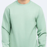 2025 Yeni Erkek Bisiklet Yaka Sweatshirt ODM 300gsm Kalınlaştırılmış Uzun Polar Kışlık Özel Logo %100 Pamuk Erkek Sweatshirt OEM