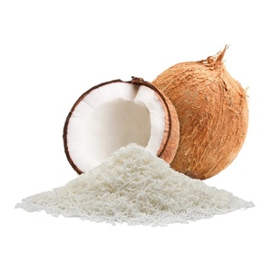 Poudre de noix de coco - Options riches et faibles en matières grasses - Poudre de noix de coco déshydratée polyvalente en gros du Vietnam - Lait de coco sans produits laitiers - Product Image 4