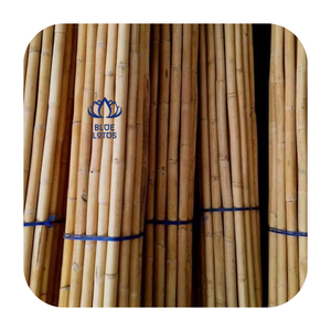 Varillas de Ratán de Primera Calidad para Fabricación de Muebles y Decoración de Interiores, OEM Disponible - Product Image 1