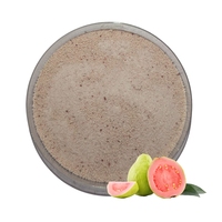 Seracol Beste Leverancier Garantie Guava Roze Sappoeder Premium Kwaliteit Halal OEM B2B Top Verkoop Natuurlijke Tropische Smaak Drank