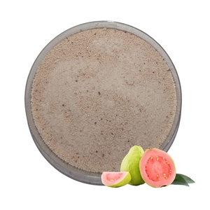 <b>Best</b> Supplier Guarantee Guava Pink Juice Powder Premium Quality Halal OEM B2B Top Sale Natural Tropical Flavor Beverage Base - Product Image 1