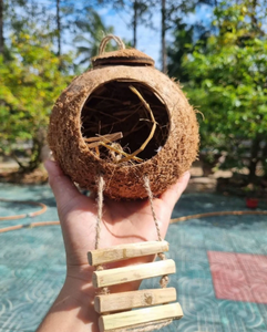 Nid d'oiseaux naturel en coquille de noix de coco / Abri pour oiseaux fabriqué en coquilles de noix de coco, fabriqué au Vietnam - Product Image 3