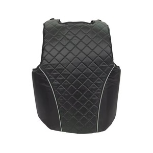 Chaleco Unisex de Neopreno sin Mangas con Cierre de Cremallera, Impermeable, para Montar a Caballo, Color Sólido, Protector - Product Image 1