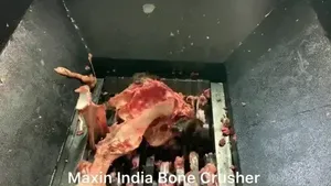 Machine à déchiqueter la viande et les os de qualité supérieure, à double arbre, semi-automatique, électrique, 100-200 kg/h, équipement de transformation de la viande pour l'industrie - Product Image 4