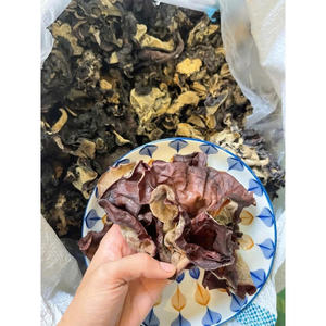 Champignons noirs entiers séchés, champignons crus pour soupes et sautés - Product Image 5