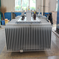 Transformateur redresseur immergé dans l'huile 10/0,4 kV, norme IEC, avec changeur de branche hors circuit, pour équipement de redressement industriel