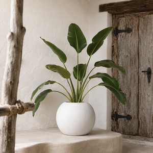 Maceta Esférica de Fibra de Vidrio para Flores, Resistente a los Rayos UV, con Revestimiento de Color, para Piscina, Patio, Jardín, Villa, 45 x 34 cm - Product Image 2