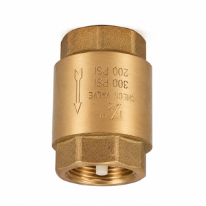 Vanne de retenue verticale en bronze de 1/2 pouce, extrémités filetées BSP femelle, conception à ressort en acier inoxydable et joint torique en caoutchouc synthétique - Product Image 3