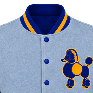 Women's Sigma Gamma Rho Custom Varsity Bomber <b>Jacket</b> Greek Sorority Letter Embroidered Outerwear Snap Button Casual Streetwear - Product Image 3