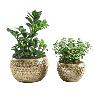 Jardinière en métal contemporaine, pot décoratif pour plantes, conteneur à fleurs intérieur/extérieur, décoration pour la maison et le jardin - Product Image 3