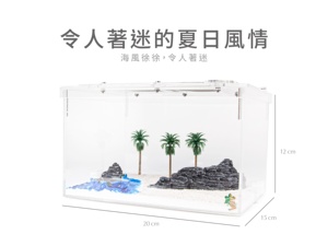 Módulo de Alimentación para Hormigas Medianas Sunshine Beach Coast - Product Image 6