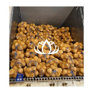 IN HIGH DEMAND <b>Fresh</b> <b>Semi</b> <b>Husked</b> <b>Coconut</b> premium clean export quality for baking and juice shops from selected <b>coconut</b> source - Product Image 1