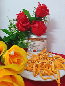 Cordyceps Militaris Pur Lyophilisé (Origine VN) Cordycepine 1328 Mg/kg Durée de Conservation de 24 Mois pour Infusion 50g Pham Dinh QQ Group - Product Image 3