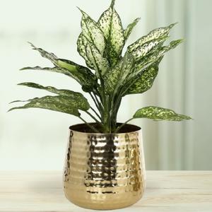 Pot de fleurs moderne en métal martelé noir pour la décoration intérieure et extérieure, jardinière festive pour plantes de balcon et de jardin, idéal pour le salon - Product Image 5