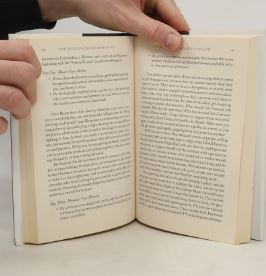 Le plan d'action du millionnaire de Roger James Hamilton, livre broché, chemin personnalisé vers le succès financier, haute qualité - Product Image 2