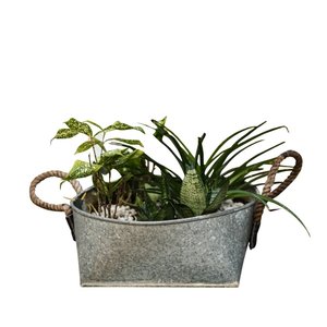 Pot de fleurs décoratif vintage en fer galvanisé festonné sur mesure, seau à plantes, pot à succulentes, seau à plantes d'extérieur - Product Image 2