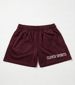 Clovix Sports Bulk Custom <b>Mesh</b> Shorts Mens Quick Dry Comfortable Training Shorts High Quality Cheap Price OEM Manufacturer - Product Image 2