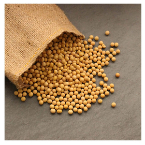 Soybean Seeds High Quality Non-GMO Planting Seeds for Agriculture Farming Wholesale Bulk Supply Export Supplier Manufacturer - Product Image 5
