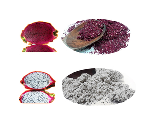 Poudre de fruit du dragon de qualité supérieure en gros, ingrédient de collation vietnamien, approvisionnement en vrac, prix compétitif - Product Image 2