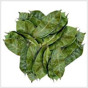 Dried Soursop Leaves Fermented Organic Vietnam Health <b>Tea</b> Non Sugar 25 <b>Tea</b> Bags <b>Box</b> - Product Image 2