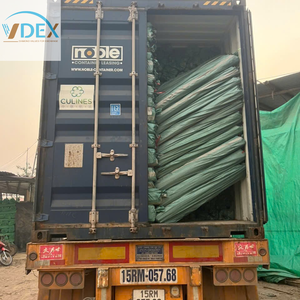 Bâtons de balai en bois avec revêtement en PVC rayé rouge pour le Sri Lanka et la Malaisie - Product Image 6