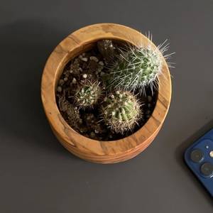 Decoration Hotel Kitchen Cafe Serving Wooden Bowl Table Centerpiece Food Server For Hotel and Home <b>Dinnerware</b> Dish - Product Image 5