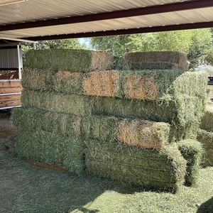 Heno de Alfalfa para Nutrición Ganadera con Hojas Verdes Naturales, Rico en Fibra y Buena Palatabilidad para Uso Diario - Product Image 1