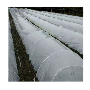 Tiges de soutien pour plantes en fibre de verre à pointe conique - Product Image 1