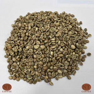 Granos de Café Robusta Vietnamita de Sabor Intenso, Frescos de Cosecha, Directo de Fábrica, Pedidos al por Mayor, Soporte para Marca Personalizada - Product Image 1