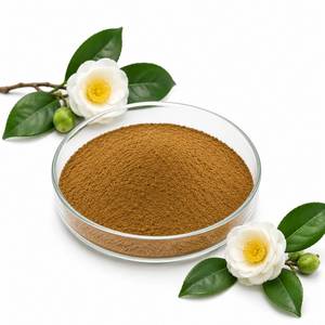 Fournisseur d'ingrédients antioxydants naturels : Poudre d'extrait de Camellia Sinensis, matière première de thé vert de qualité supérieure pour la nutrition fonctionnelle - Product Image 6