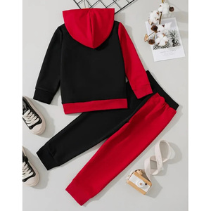 Modern Hooded Solid Pullover Tracksuit with Windproof Breathable Fabric for <b>Training</b> and Casual Wear by <b>Leading</b> Manufacturers - Product Image 6