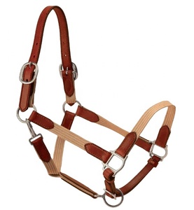 Harnais de cheval en nylon PP extensible, collier de tête réglable, accessoires pour chevaux - Product Image 1