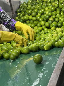 VIETNAM LIME FRAIS SANS GRAINES HAUTE QUALITÉ - Product Image 4