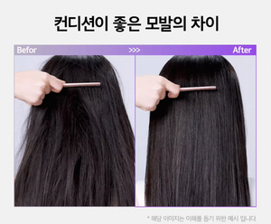 แชมพู L'ODEURLETTE England Colorfit Warm Forest กลิ่นหอมระดับพรีเมียม สำหรับสระผม บำรุงหนังศีรษะ ระดับมืออาชีพ - Product Image 5