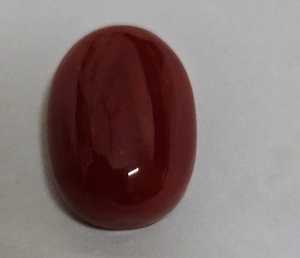 Coral Rojo Natural Italiano, Nuevo Producto, Forma Plana, Color Sangre, Gema de Alta Calidad, Gema Suelta para Joyería - Product Image 2