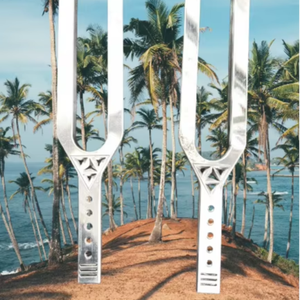 Diapasón Gigante D 528Hz (para pruebas auditivas) de Acero Inoxidable y Metal para Neurología, Audiometría y Terapia del Sonido. - Product Image 1