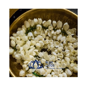 SUPERIOR <b>MATERIAL</b> 2026 Dried Jasmine Petals for Floral Tea Brewing and Candle Making, Carefully Selected Petals - Product Image 1